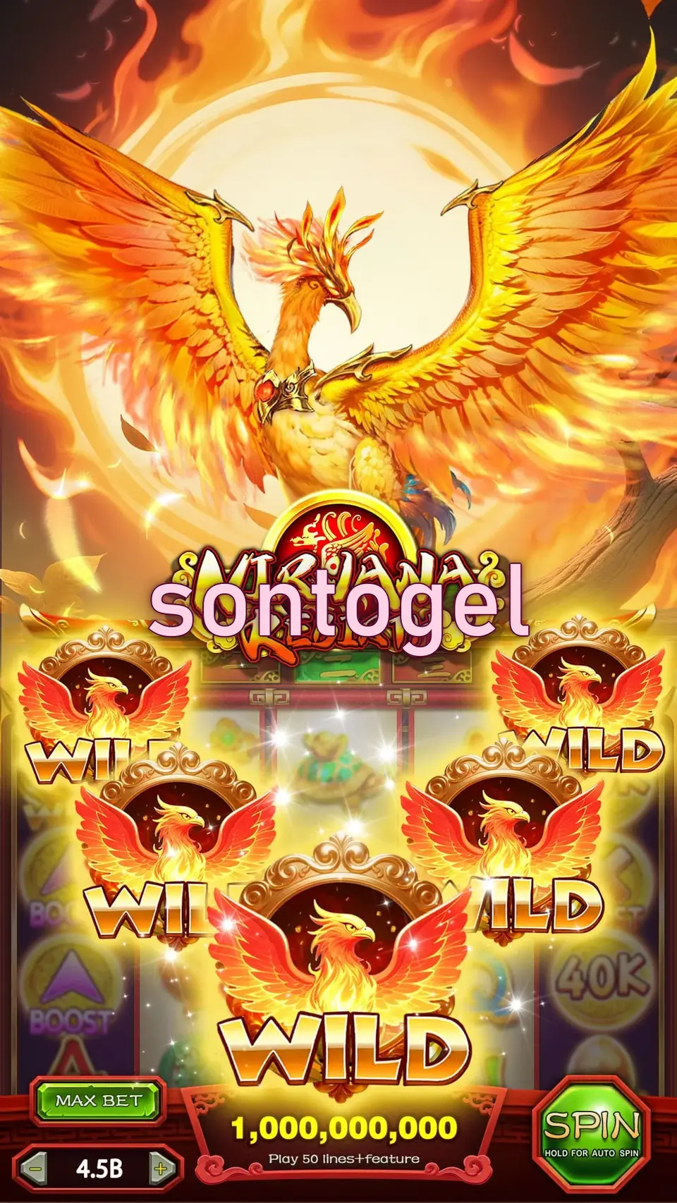 sontogel Masuk